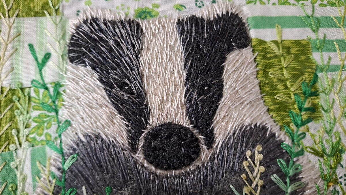 Postcards From The Hedge February Close up of Badger Postcard